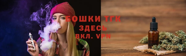 дживик Абаза