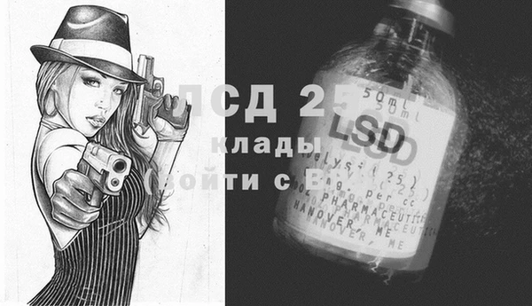дживик Абаза