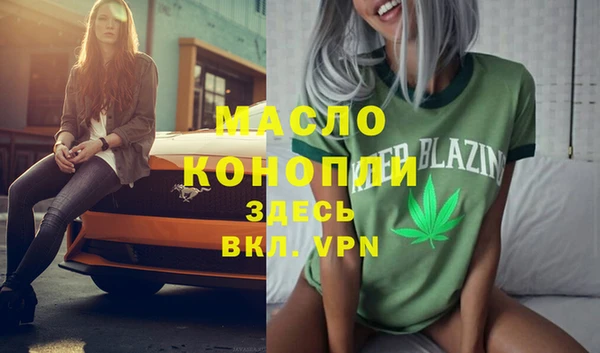 дживик Абаза